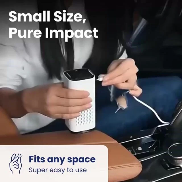 DustaCleanPro image